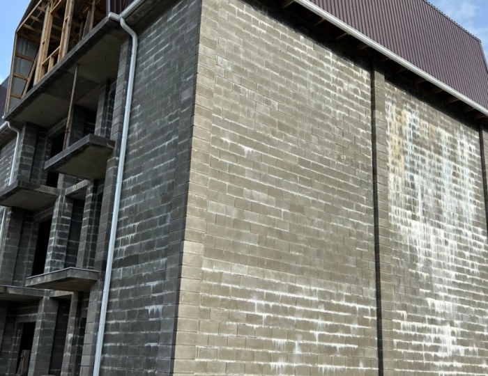 Отель «Александра» Гагра